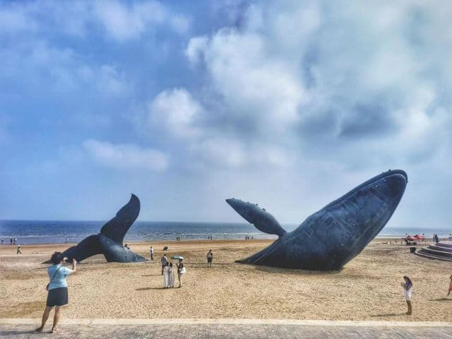 9D7N (QINGDAO / MOUNT TAI SCENIC AREA / MINGSHUI ANCIENT CITY / ZIBO / WEIFANG / PENGLAI / YANTAI)