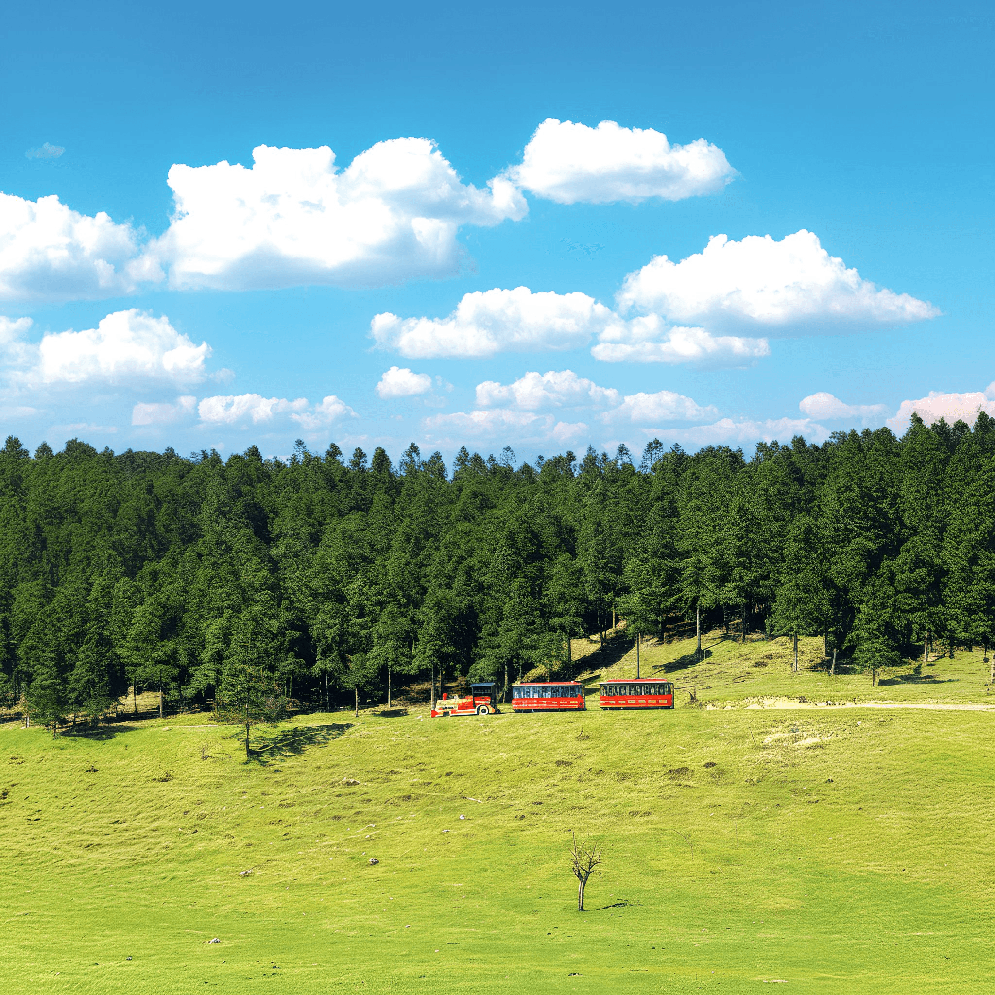 7D6N CHONGQING WULONG TOUR