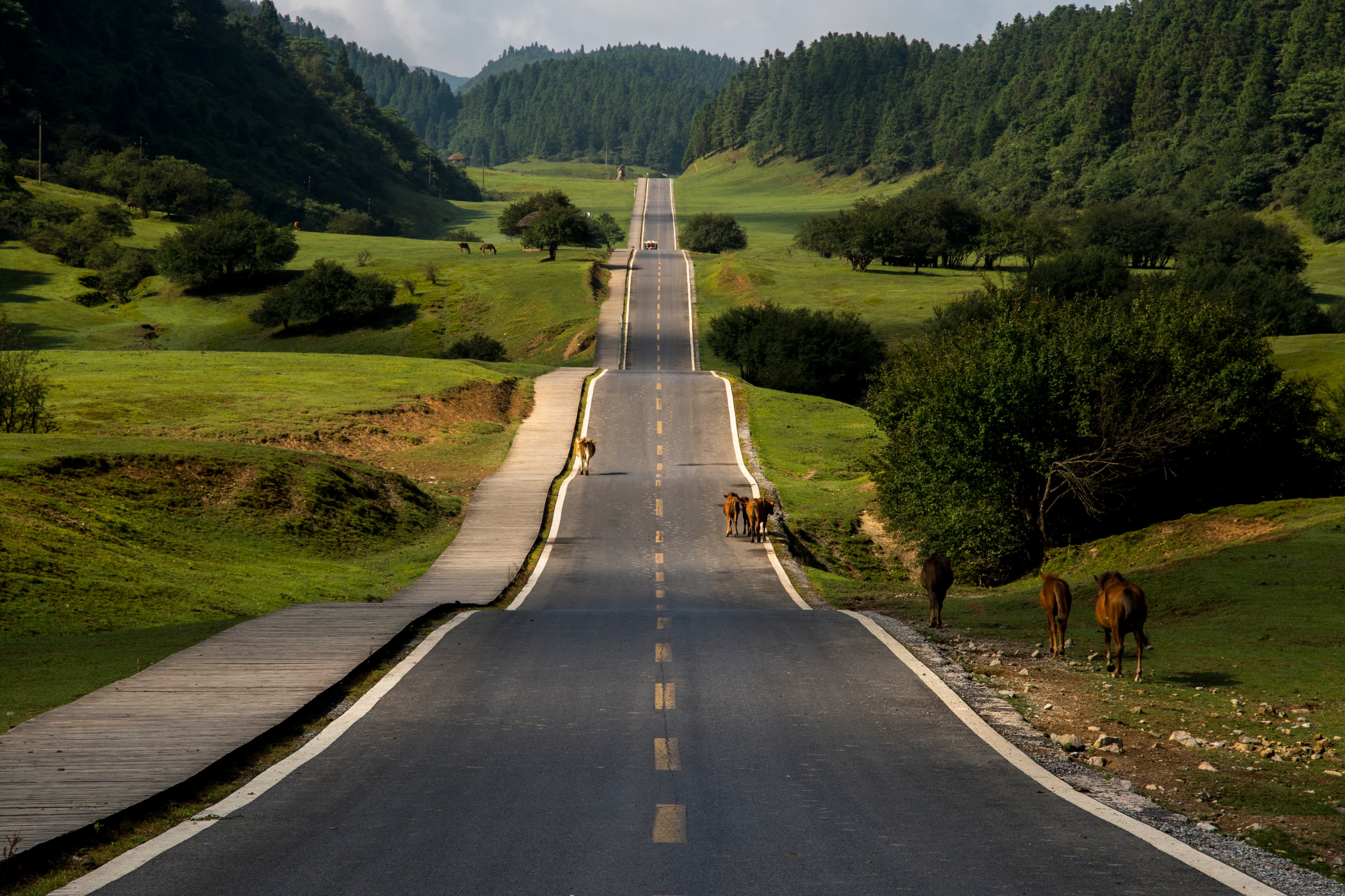 6D4N CHONGQING / WULONG