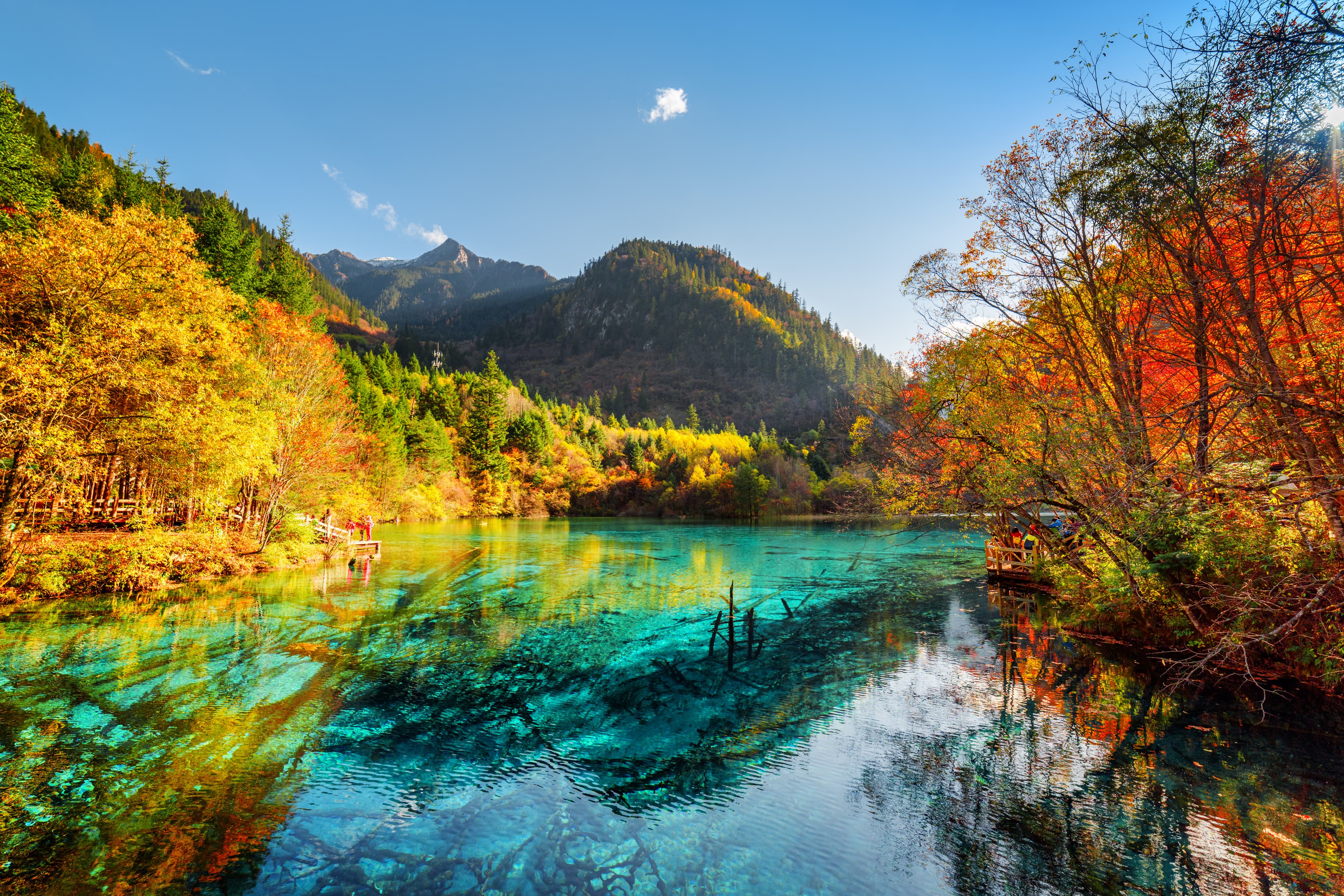 8D7N CHONGQING/CHENGDU/JIUZHAIGOU/HUANGLONG/DUJIANGYAN