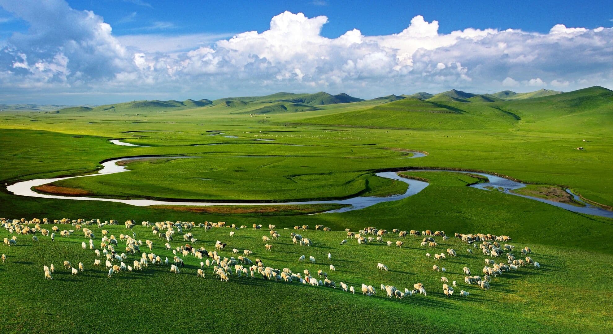 9D8N HULUNBUIR GRASSLAND