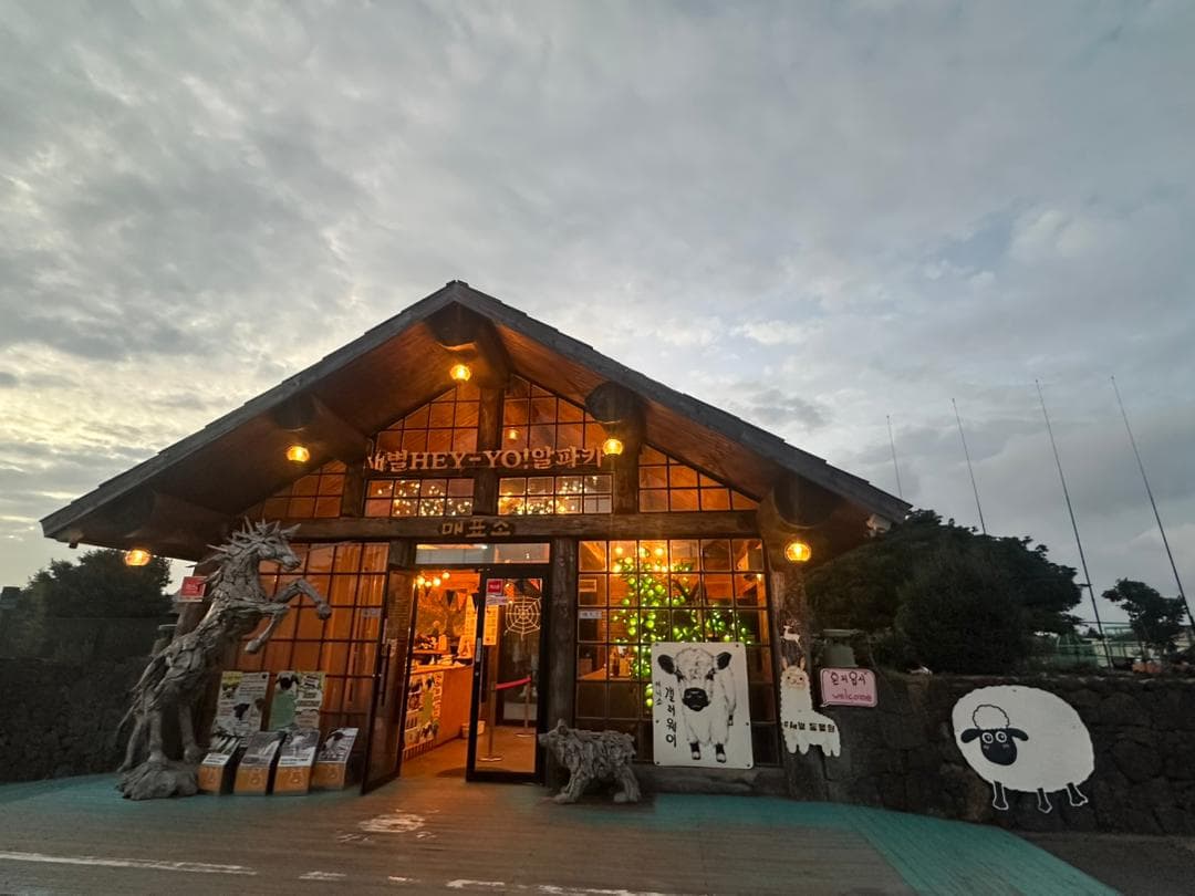 6D4N BUSAN + JEJU ISLAND (2 WAYS DOMESTIC FLIGHT) 