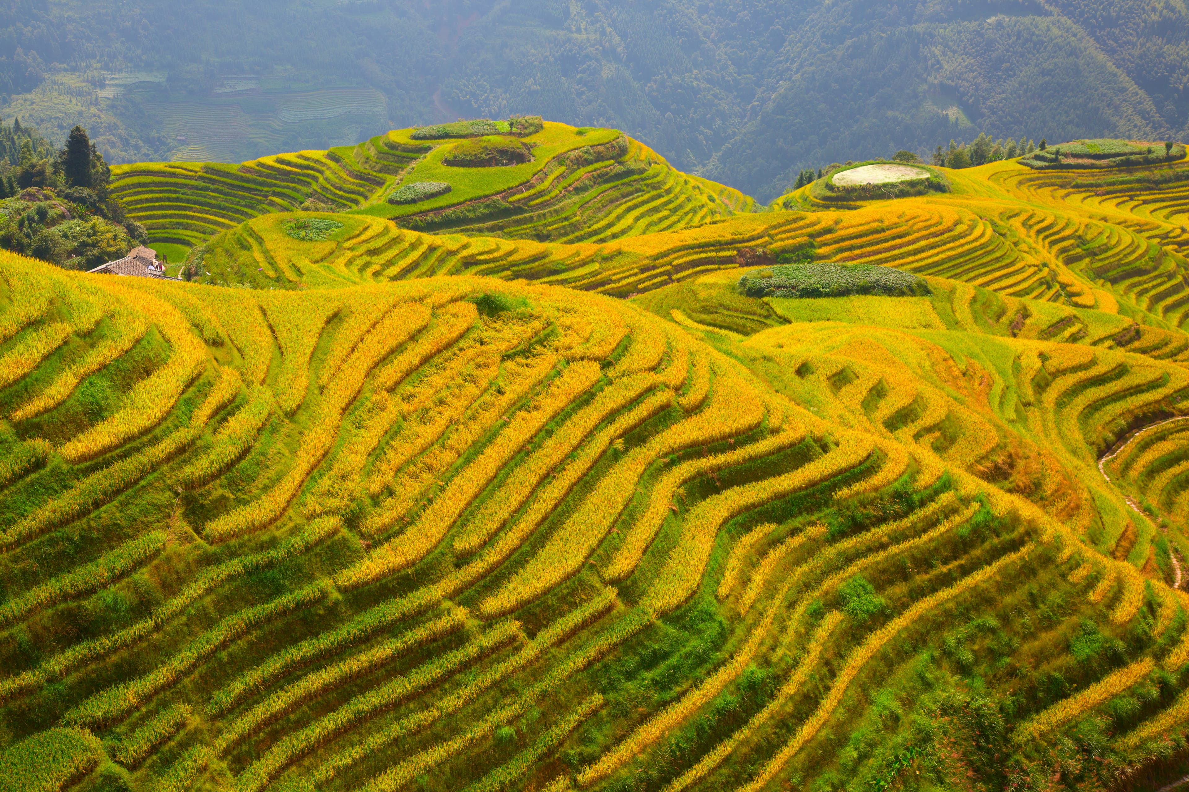 6D5N GUANGXI / GUILIN / LONGSHENG / YANGSHOU (NO SHOPPING STOP)