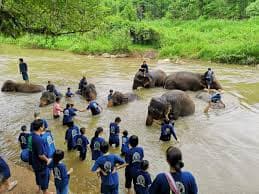 5天4晚 清迈 / 清莱