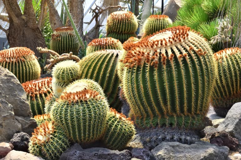 7D5N TOKYO/MT.FUJI/IZU