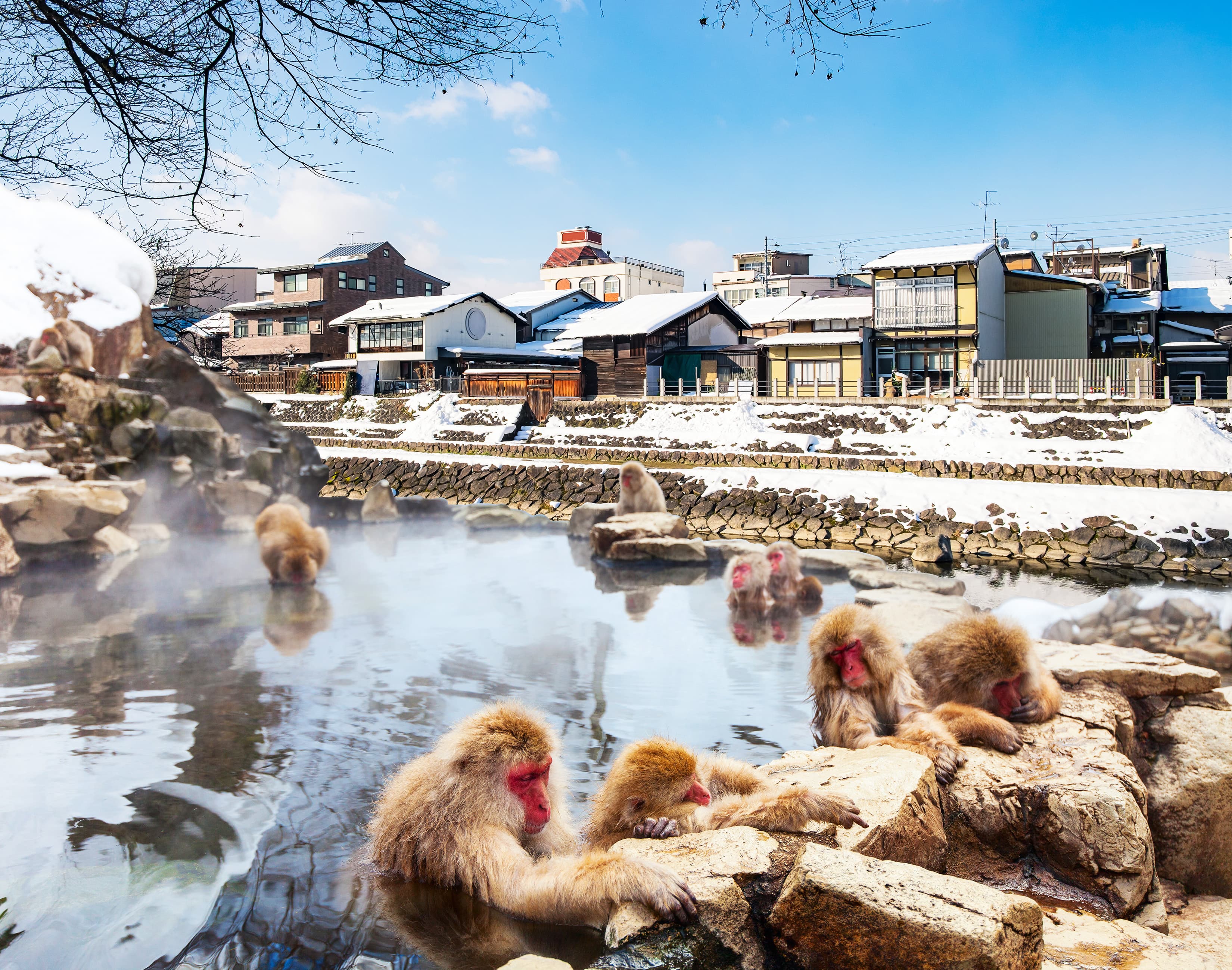 7天6夜 东京/长野/高山/白川乡合掌村/京都/大阪  